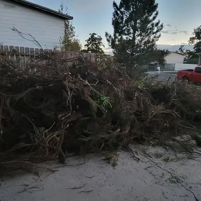 Pile of dead branches and tree fronds along the side of a house, ready for haul-away