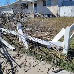 Branches and broken fence panels piled across the yard before cleanup